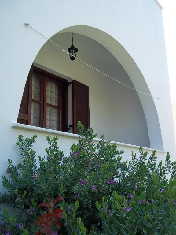 Katerina Studios Naxos City Room photo