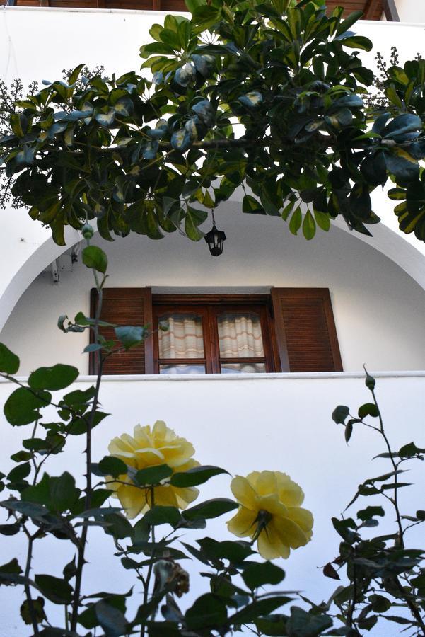Katerina Studios Naxos City Exterior photo